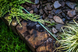 Бордюр прямий газонний 18м х 12,5см, коричневий, OBKB18125 OBKB18125 фото 2