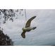 Відлякувач птахів "Сокіл у польоті" CTRL-BR104 фото 4